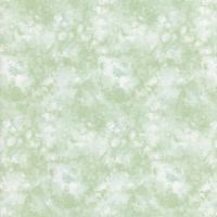 ttKIM-C6100 CELERY